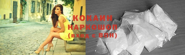тгк Новокубанск