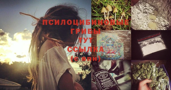экстази Новодвинск