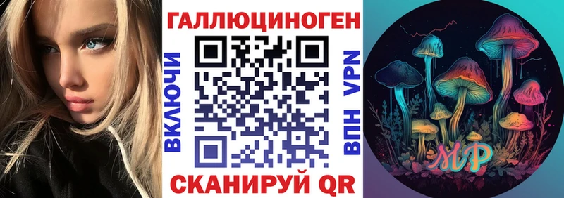 Псилоцибиновые грибы Cubensis  мориарти какой сайт  Торопец 