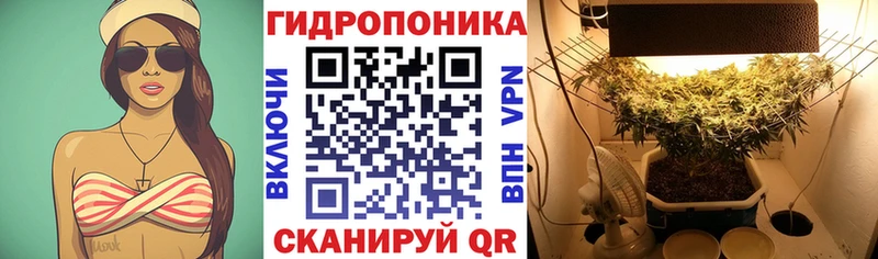 Бошки Шишки MAZAR  где найти наркотики  Торопец 